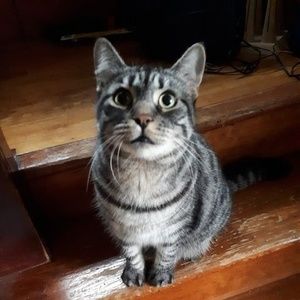 Meet your Posher, Tammy